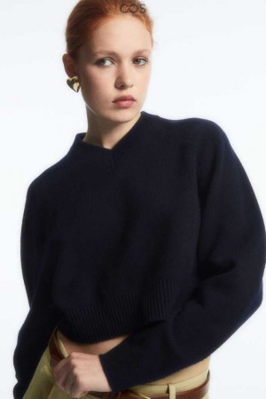 Women's COS Cropped V-Neck Wool Jumper Knitwear & Cardigans | 905784VZR