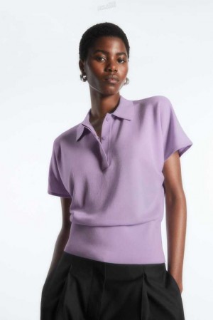 Women's COS Knitted Polo Shirt Tops | 786543HUA