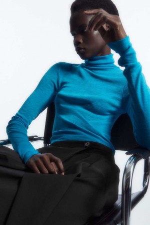 Women's COS Merino Wool Turtleneck Top Tops | 847351XUA