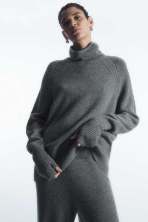 Women's COS Pure Cashmere Turtleneck Sweater Sweaters & Cardigans | 923564MKC