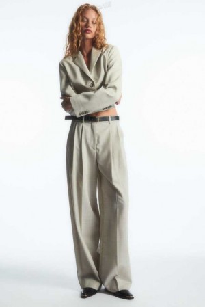 Women's COS Wide-Leg Tailored Wool Pants Pants | 703961BNA