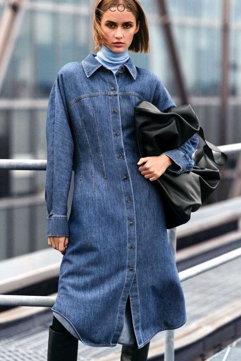 Women's COS Oversized Waisted Denim Shirt Dress Dress | 987645CLV