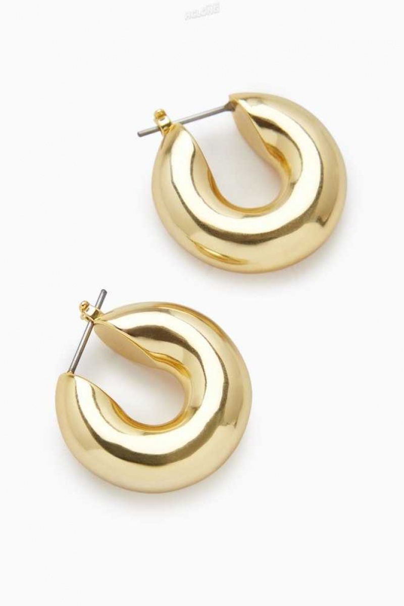 Women's COS Small Chunky Hoop Earrings | 591867OJP