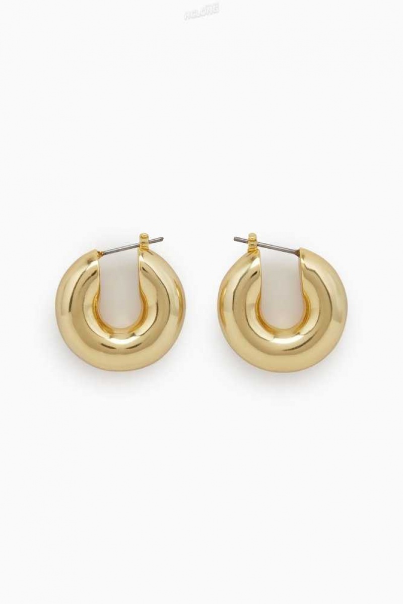 Women\'s COS Small Chunky Hoop Earrings | 591867OJP