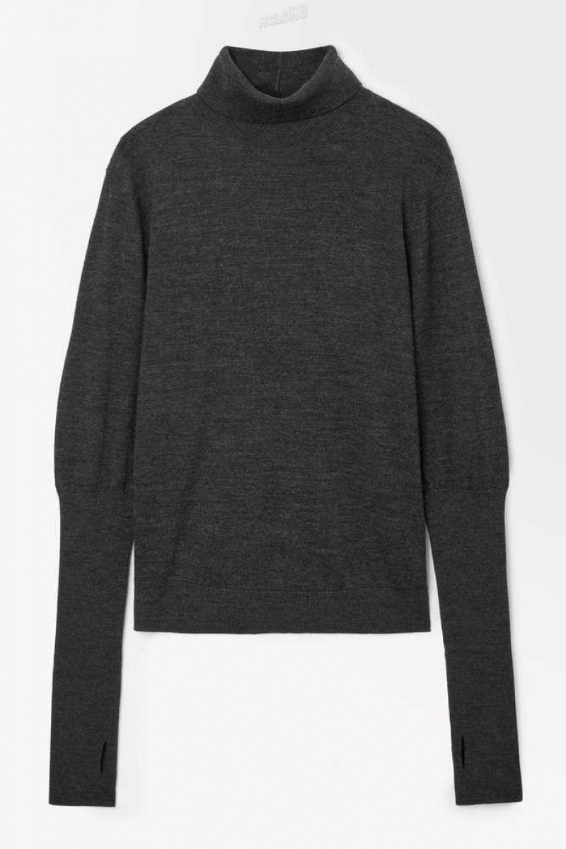 Women's COS The Wool Roll-Neck Sweater Sweaters & Cardigans | 386107HZG